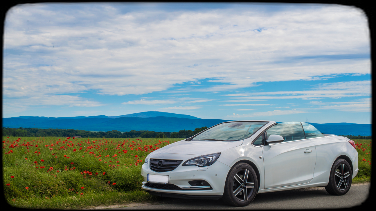 Mohnblüte am Brocken