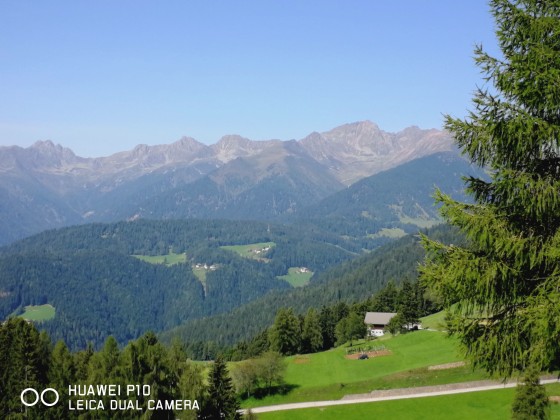 Blick über das Ultental in Südtirol