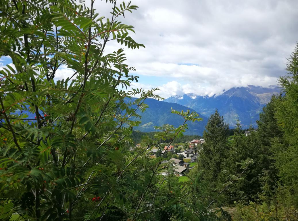 Bergwelt in Südtirol