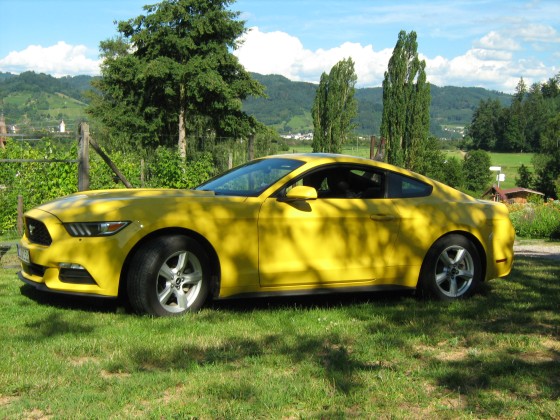 Mustang 3,7 L V6 MY 2015 in unserem Garten
